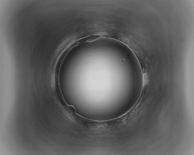 X0000113090243200909041155