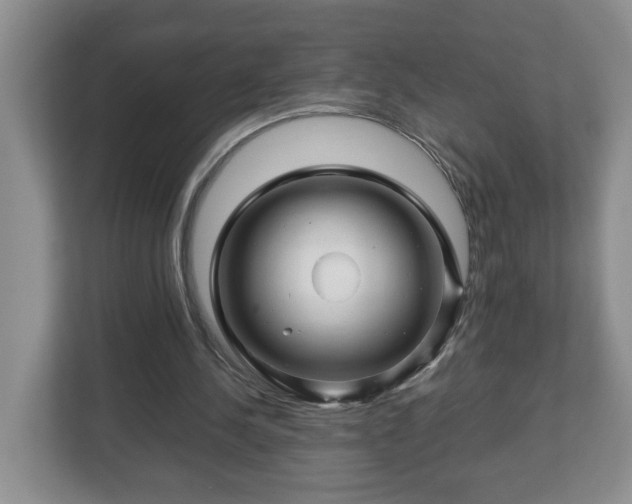 X0000113090244200909041155
