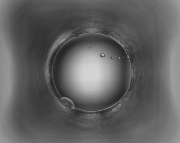 X0000113090245200909041155