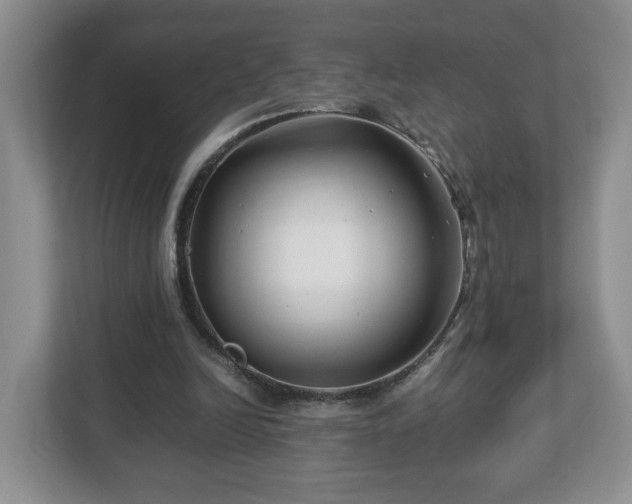 X0000113090246200909041155