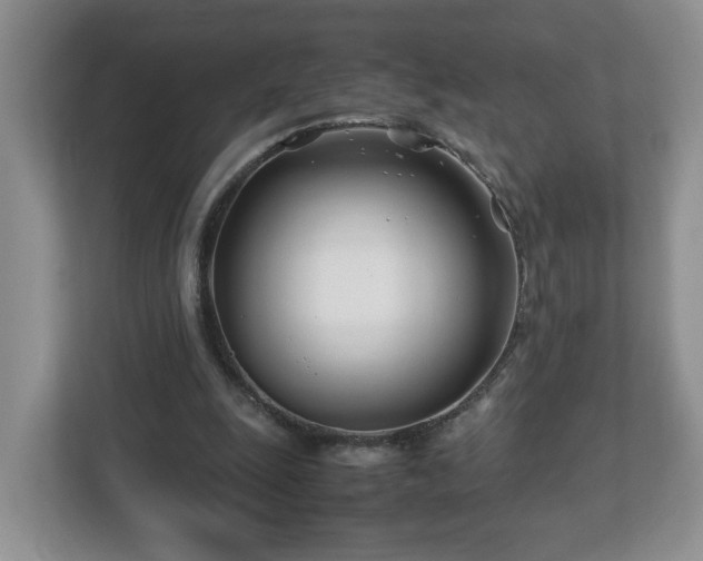 X0000113090247200909041155