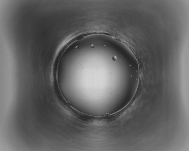 X0000113090248200909041155