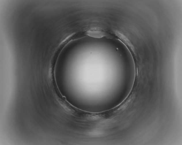 X0000113090249200909041155