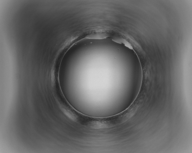 X0000113090250200909041155