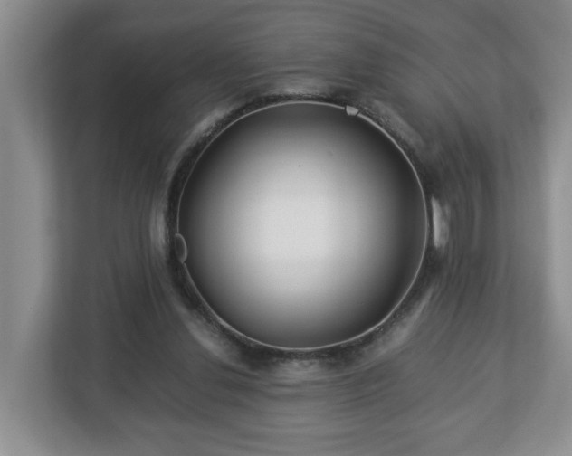 X0000113090252200909041155