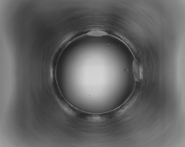 X0000113090253200909041155
