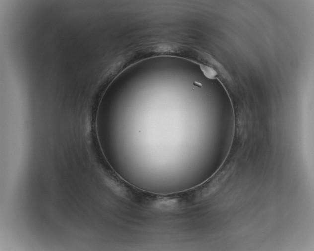 X0000113090257200909041155