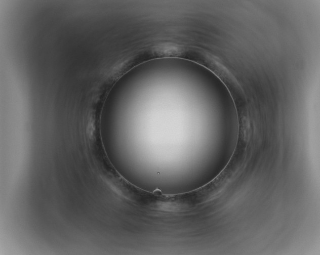 X0000113090259200909041155