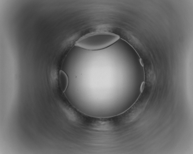 X0000113090260200909041155