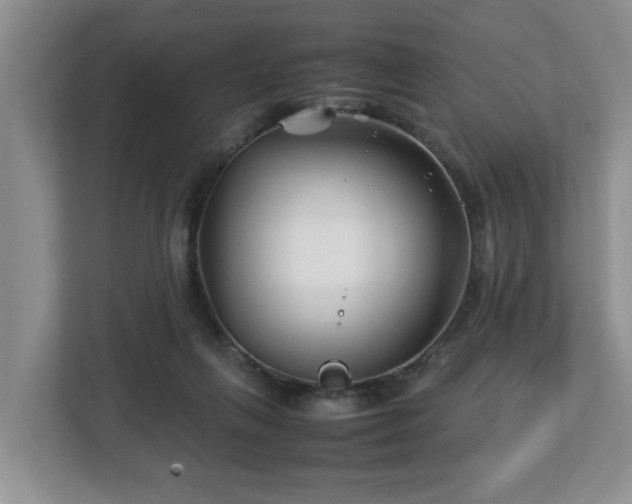 X0000113090263200909041155