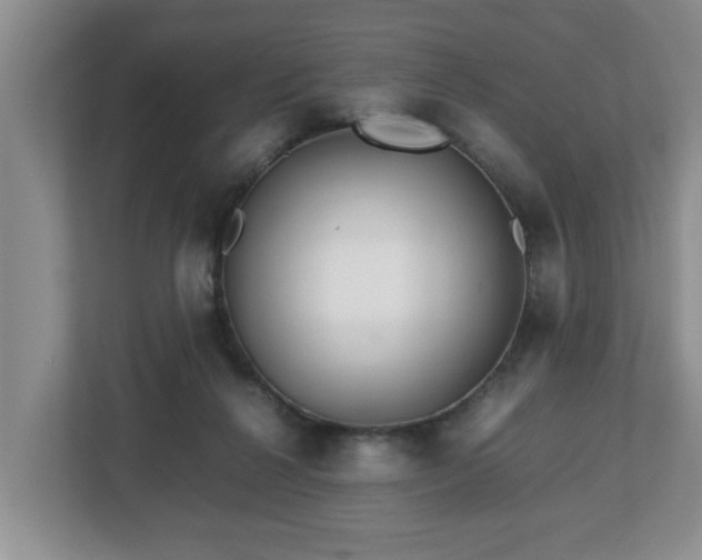X0000113090264200909041155