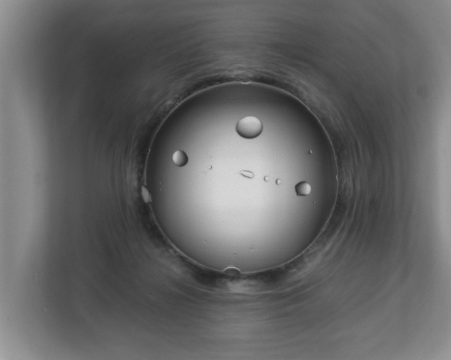 X0000113090268200909041155