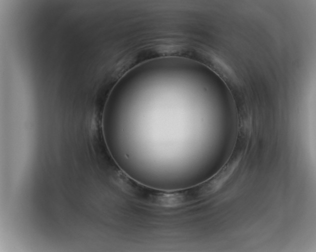 X0000113090277200909041155