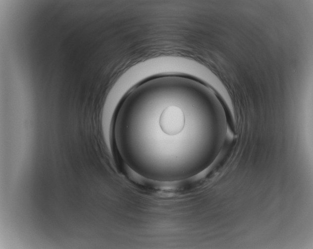 X0000113090280200909041155