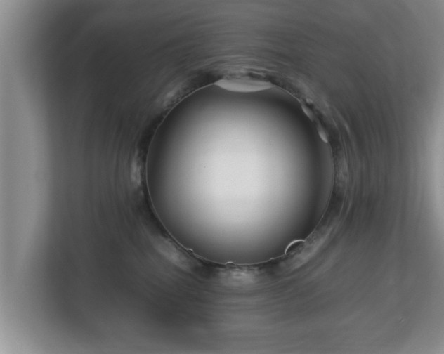X0000113090282200909041155