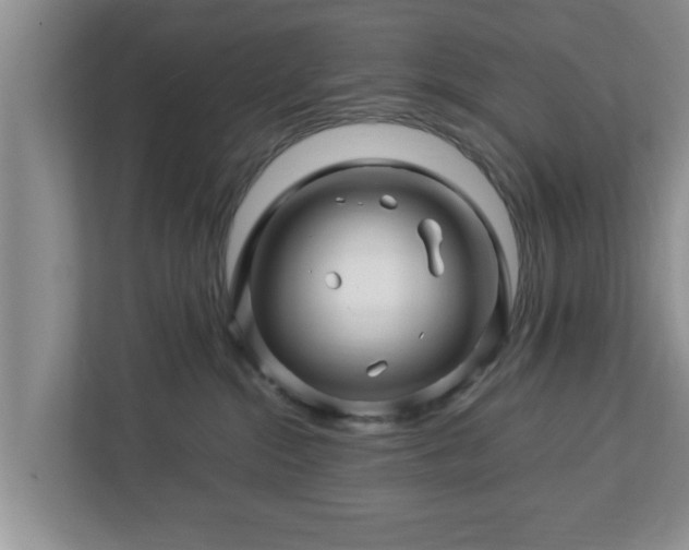 X0000113090284200909041155