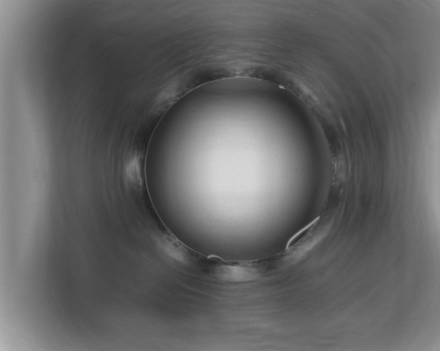X0000113090286200909041155