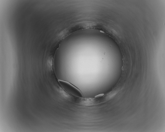 X0000113090288200909041155