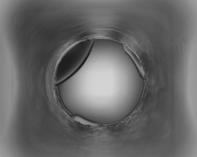 X0000113090289200909041155