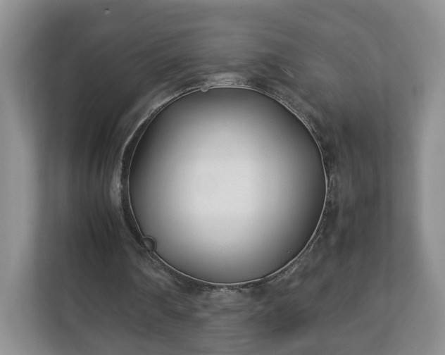 X0000113090290200909041155