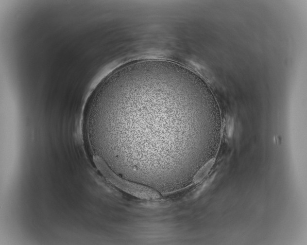 X0000113090292200909041155