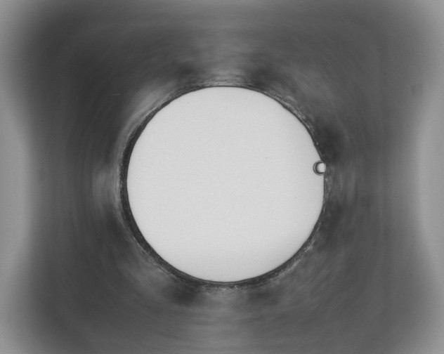 X0000113090293200909041155