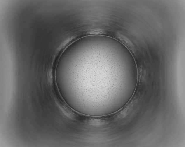 X0000113090298200909041154