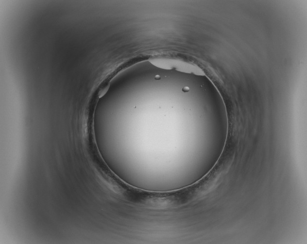 X0000113090299200909041154