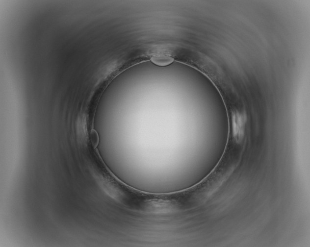X0000113090300200909041154