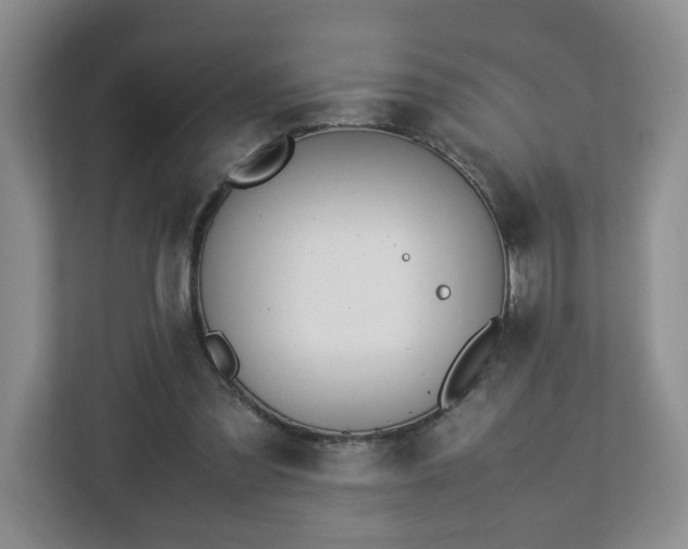 X0000113090301200909041154
