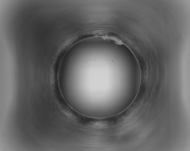 X0000113090303200909041154