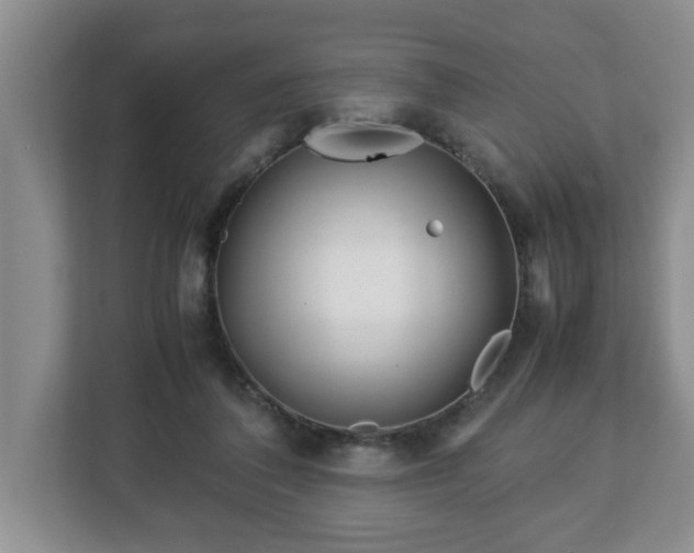 X0000113090308200909041154