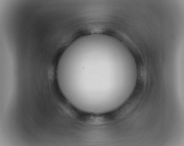 X0000113090311200909041154