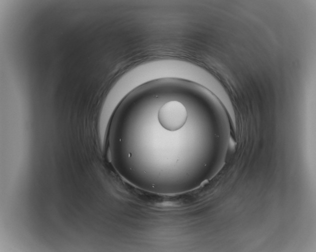 X0000113090312200909041154