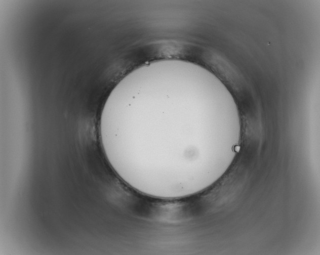 X0000113090313200909041154
