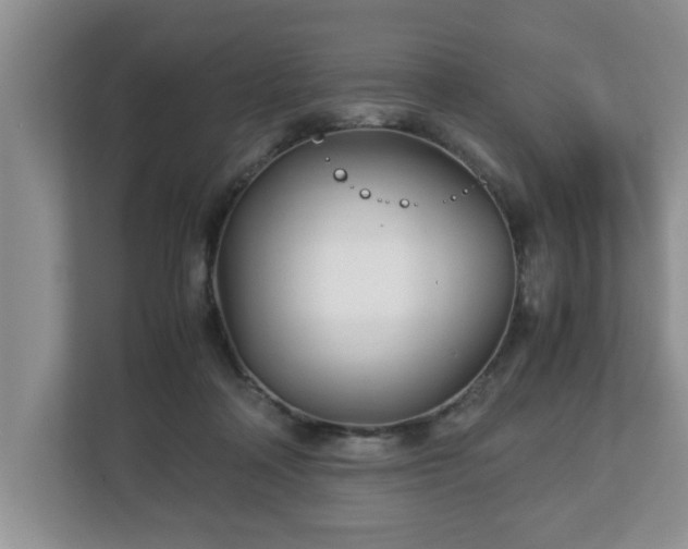 X0000113090314200909041154