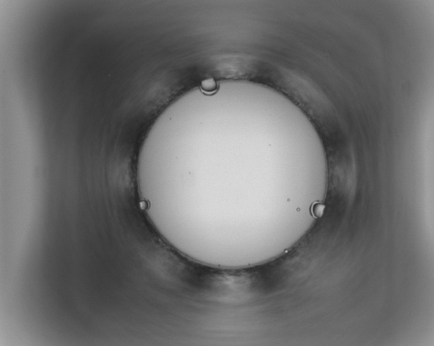 X0000113090317200909041154