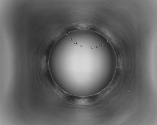 X0000113090318200909041154
