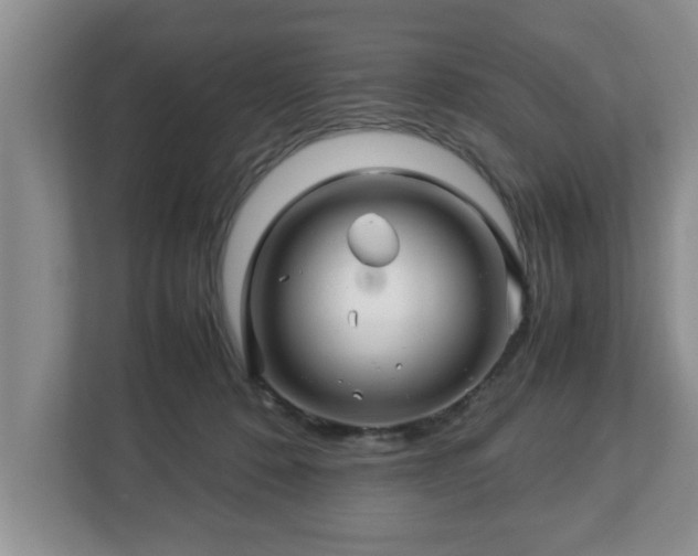 X0000113090320200909041154