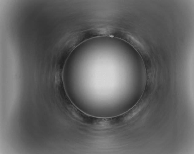 X0000113090325200909041154