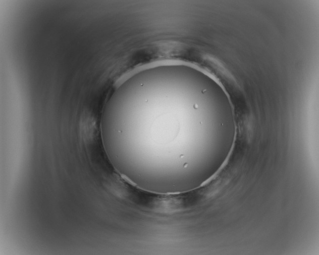 X0000113090327200909041154