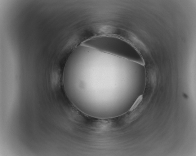X0000113090328200909041154