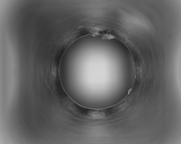 X0000113090331200909041154
