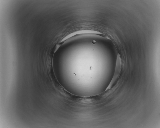 X0000113090332200909041154