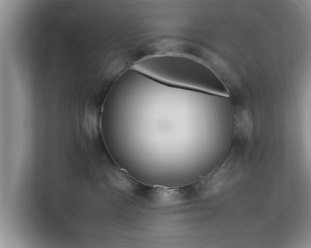 X0000113090333200909041154