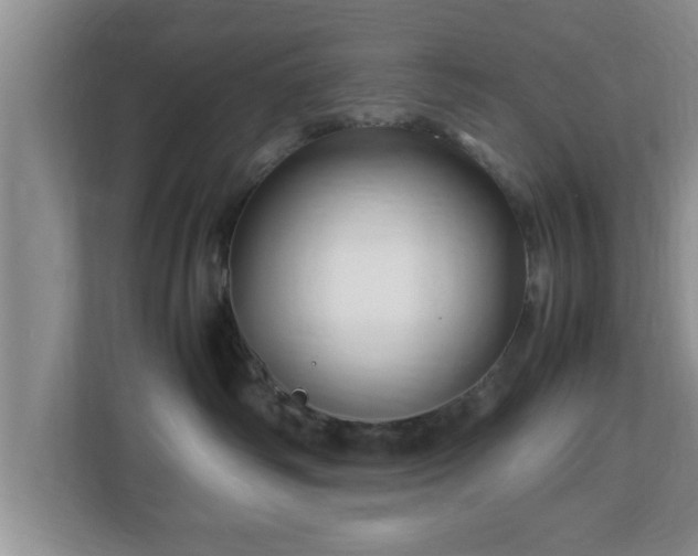 X0000113090334200909041154