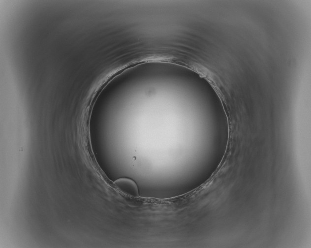 X0000113090337200909041153