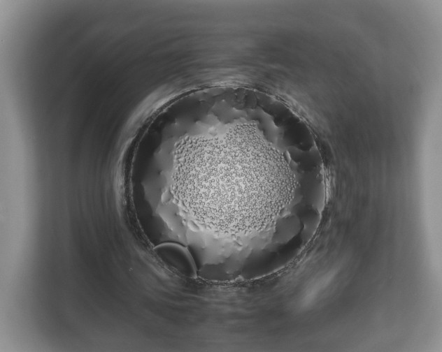 X0000113090339200909041153