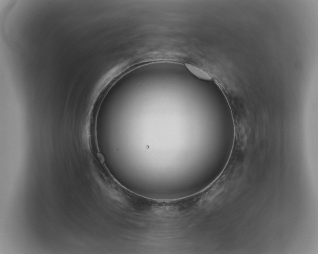 X0000113090340200909041153