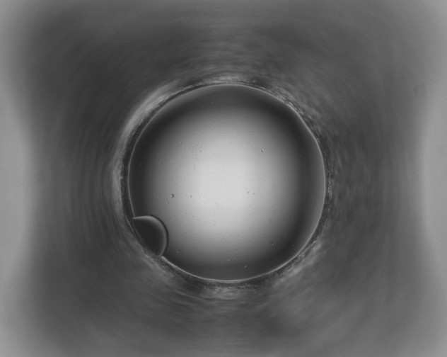 X0000113090341200909041153
